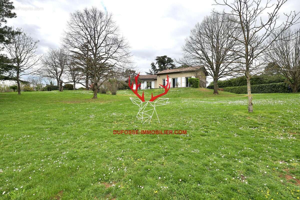 Photo 3 - Maison à LIMONEST