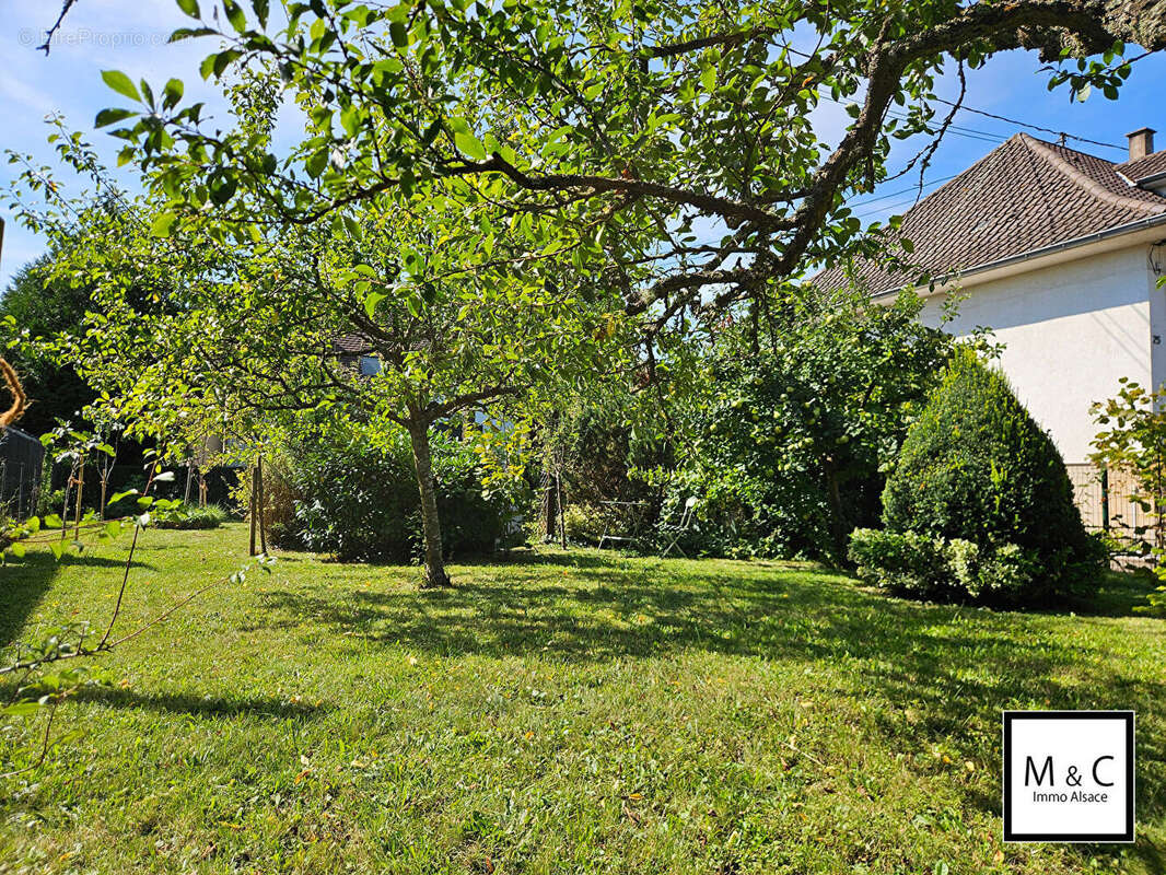 Terrain à WISSEMBOURG