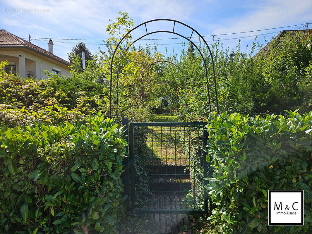 Terrain à WISSEMBOURG