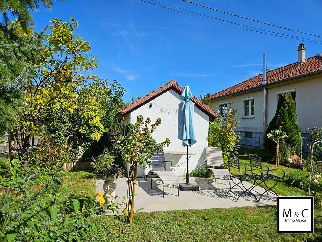 Terrain à WISSEMBOURG