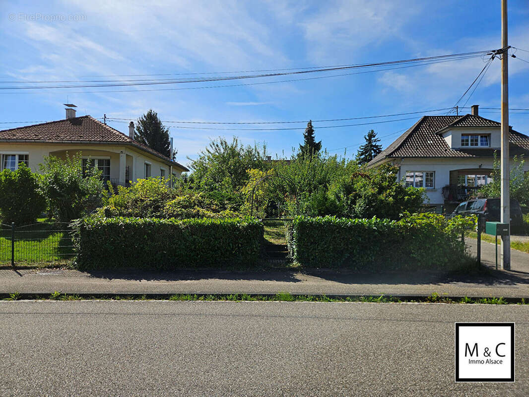 Terrain à WISSEMBOURG