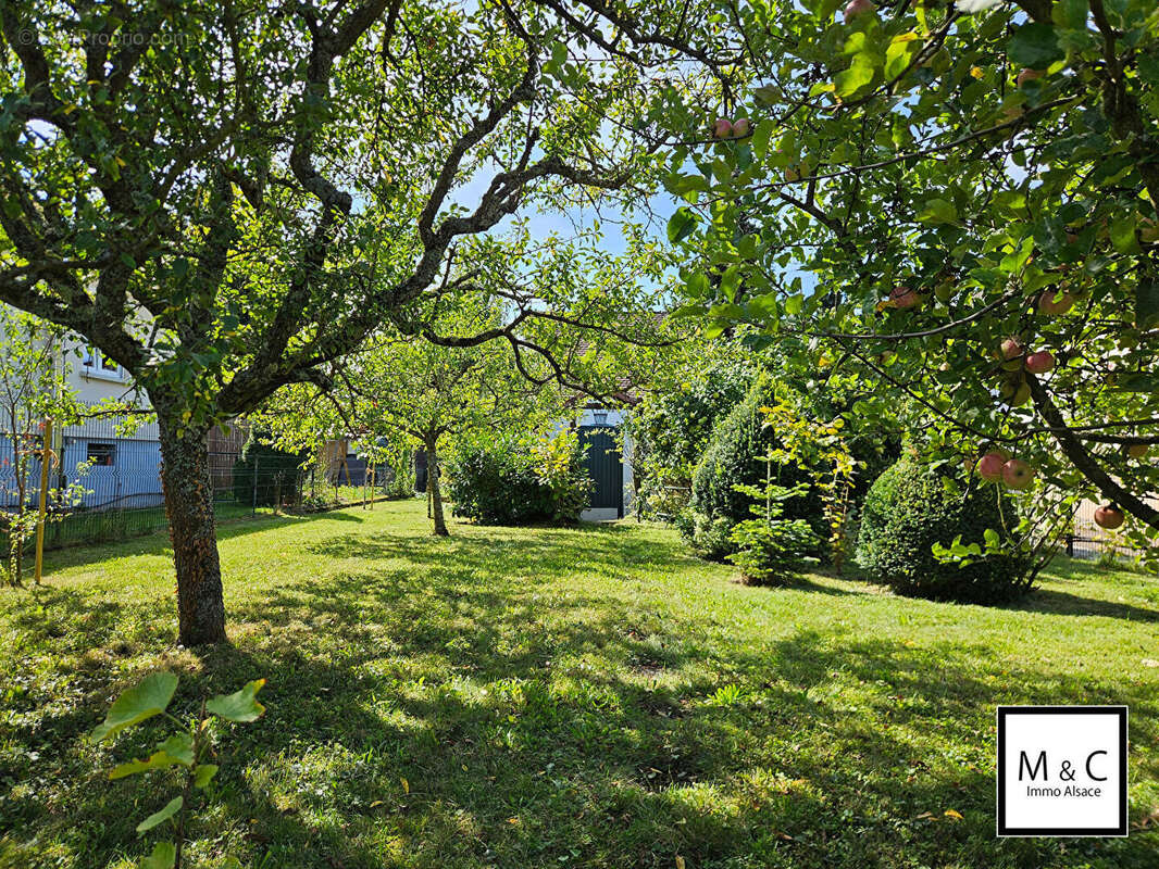 Terrain à WISSEMBOURG