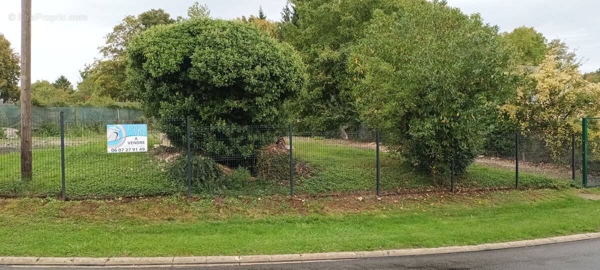 Photo 1 - Terrain à LA NEUVILLE-LES-WASIGNY