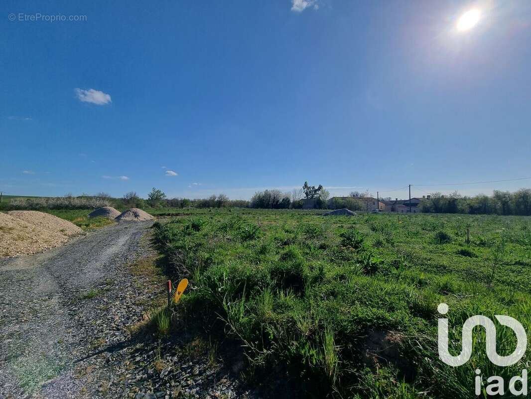 Photo 4 - Terrain à VILLEFRANCHE-D&#039;ALBIGEOIS