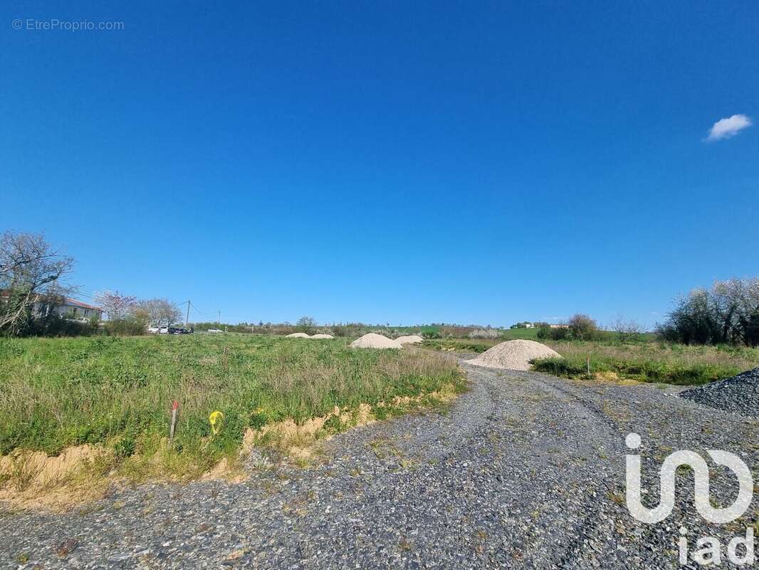 Photo 7 - Terrain à VILLEFRANCHE-D&#039;ALBIGEOIS