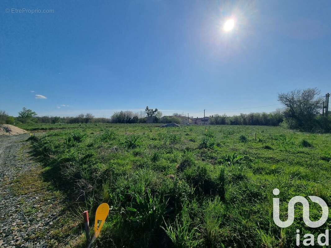 Photo 5 - Terrain à SAINT-JUERY