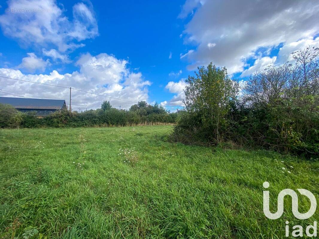 Photo 1 - Terrain à BUREY