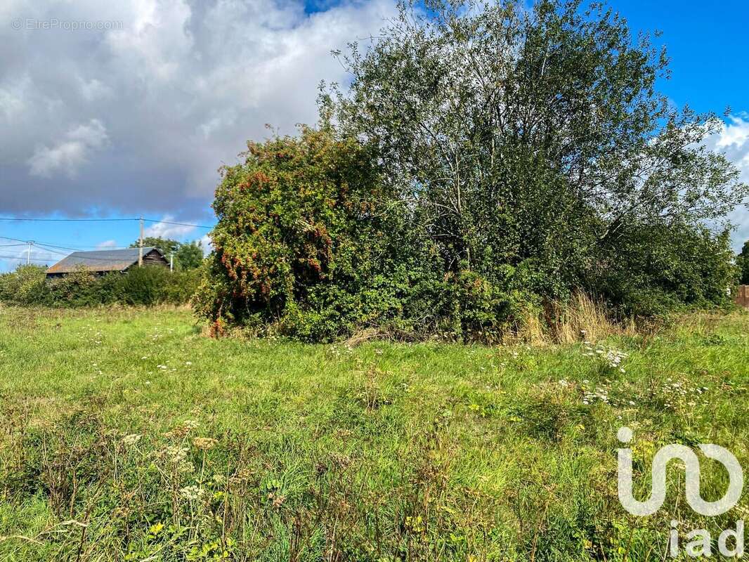 Photo 2 - Terrain à BUREY