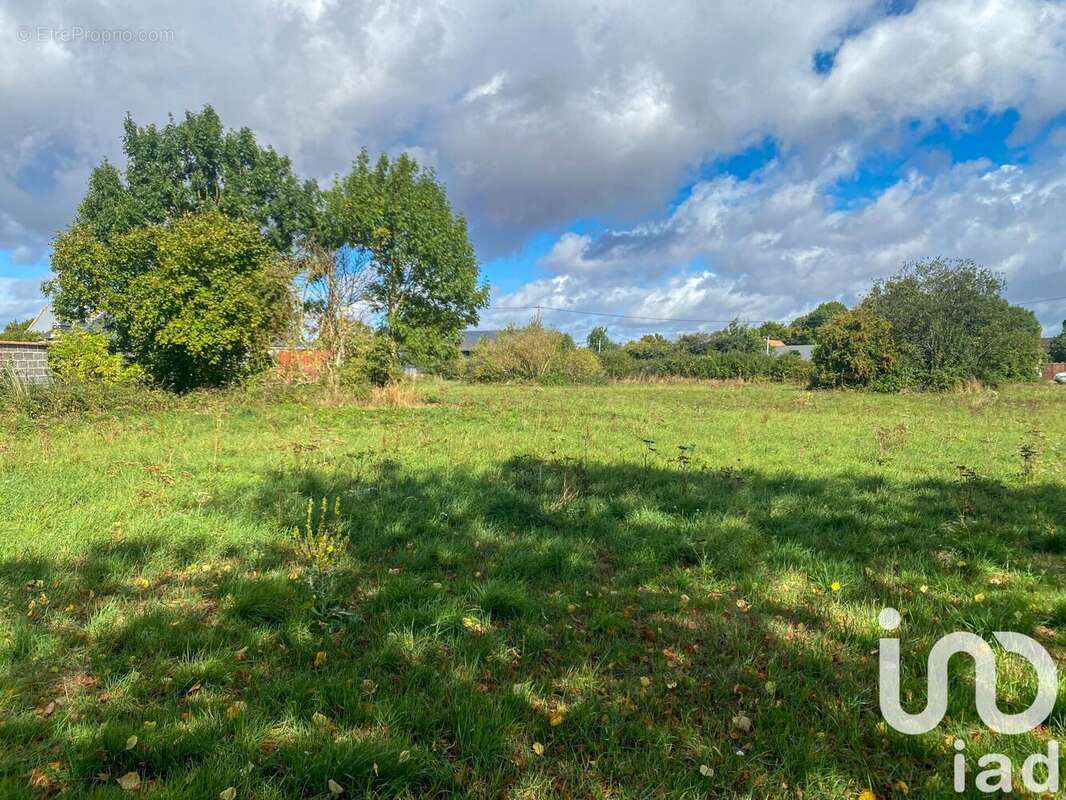 Photo 3 - Terrain à BUREY