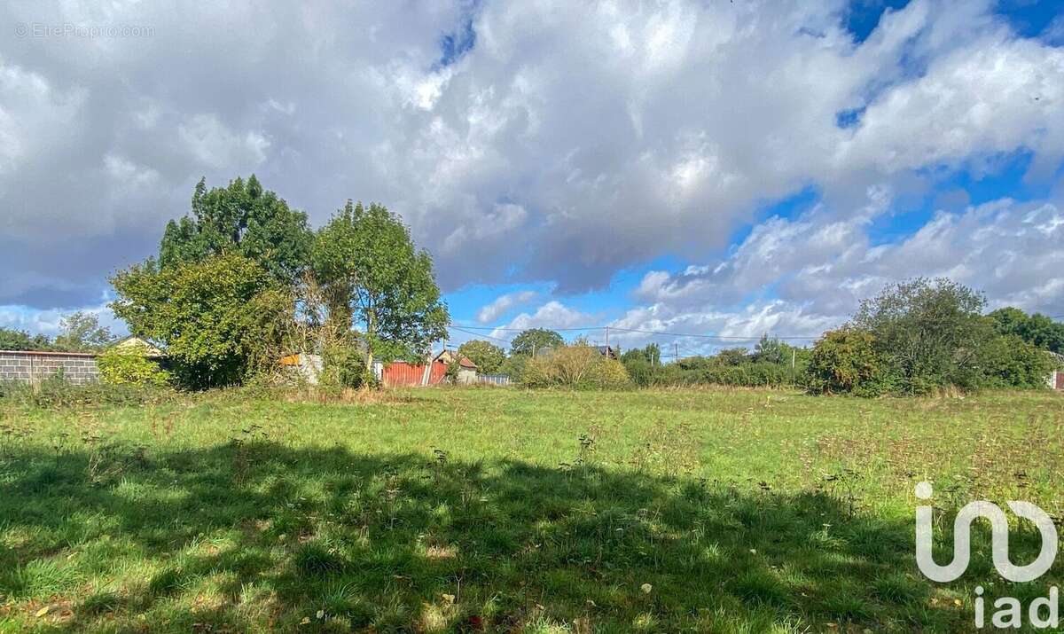 Photo 3 - Terrain à BUREY