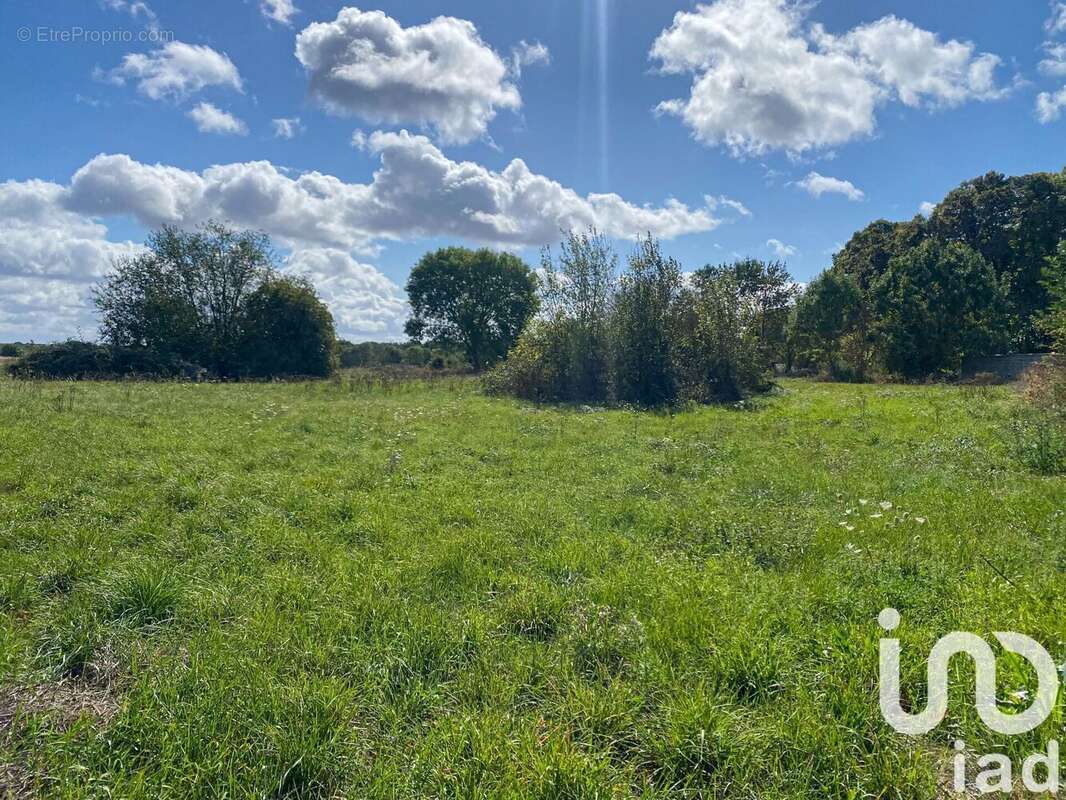 Photo 5 - Terrain à BUREY