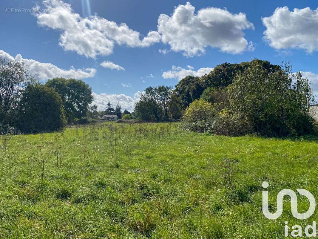 Photo 6 - Terrain à BUREY