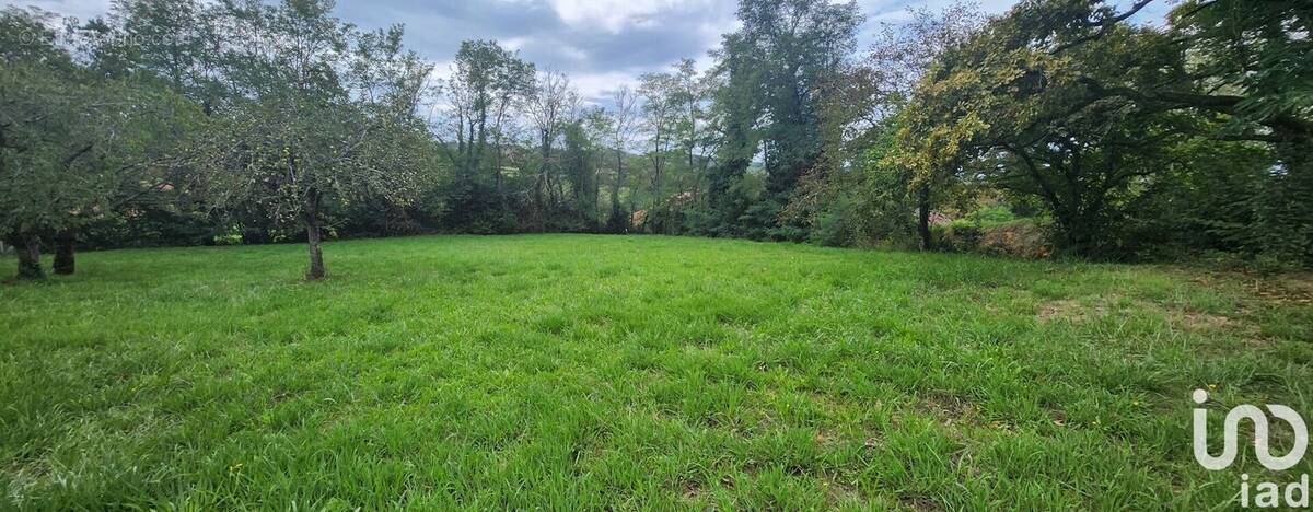 Photo 1 - Terrain à BANOS