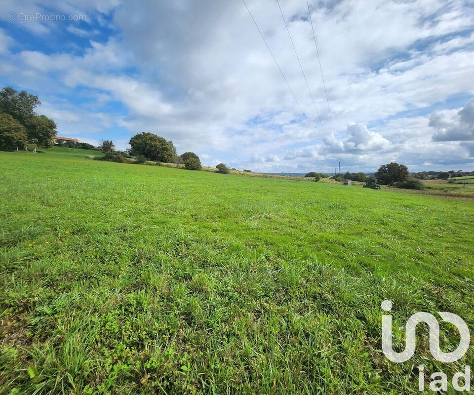 Photo 1 - Terrain à BANOS