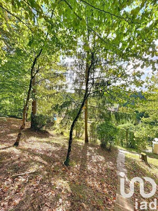 Photo 3 - Maison à FONTAINE-LE-PORT