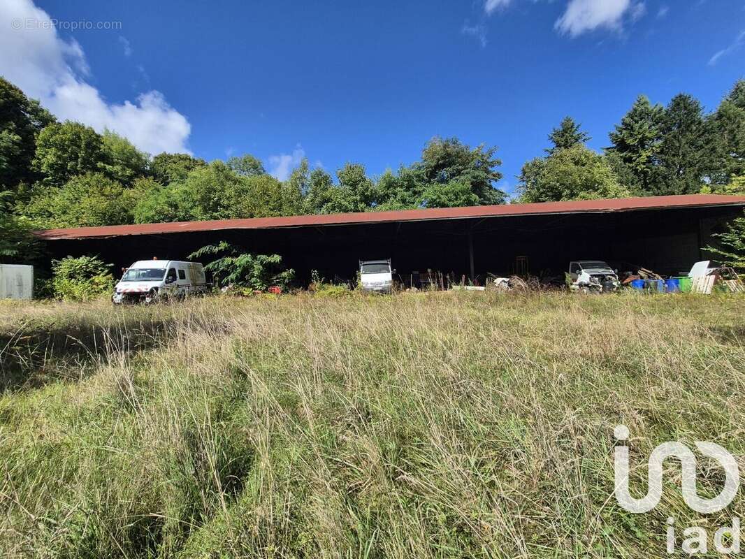 Photo 9 - Maison à L&#039;ISLE-ADAM