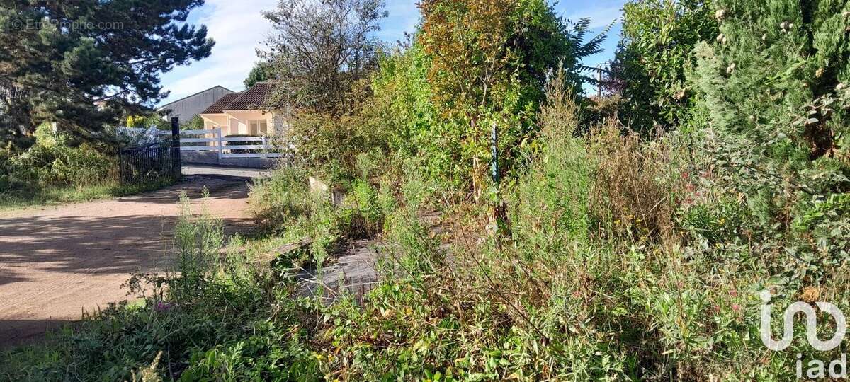 Photo 6 - Terrain à PONT-DU-CHATEAU