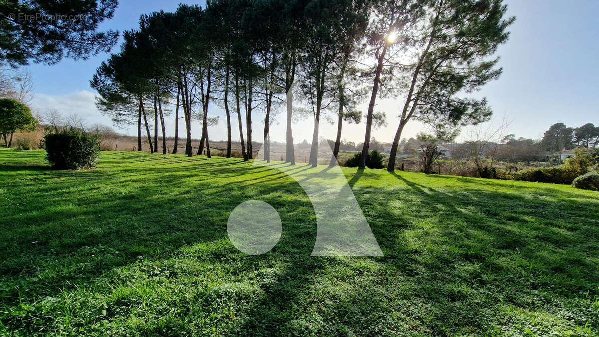 Maison à LA TREMBLADE