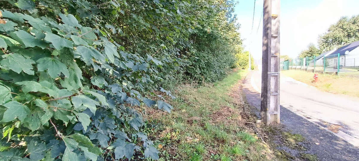 Terrain à SEBONCOURT