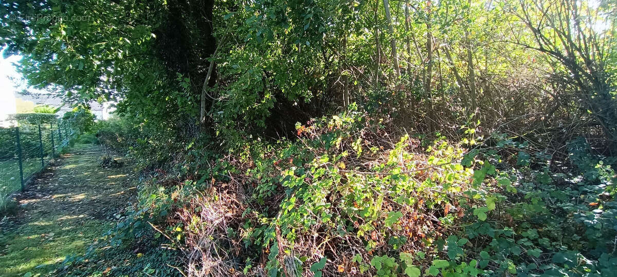 Terrain à SEBONCOURT