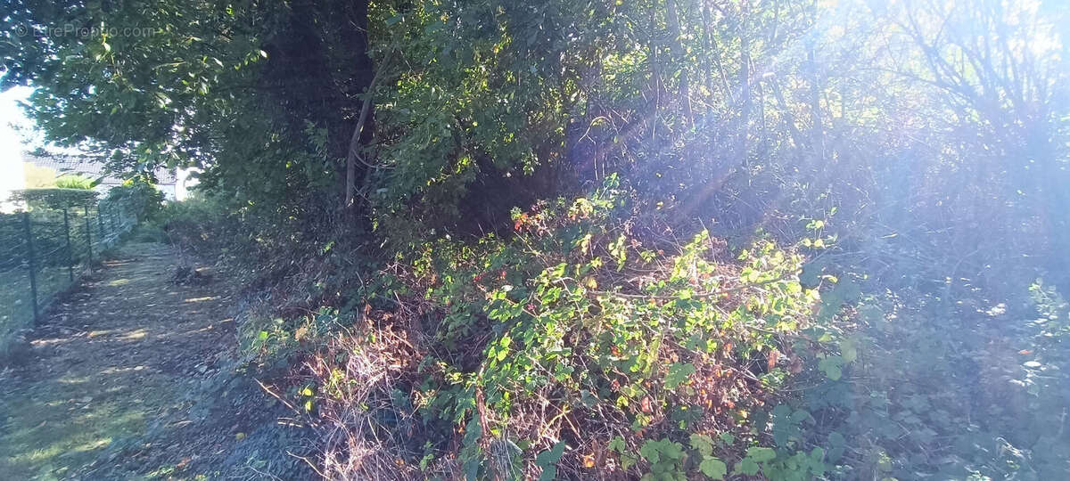 Terrain à SEBONCOURT