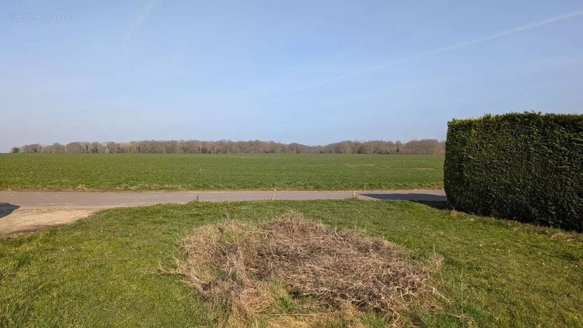 Terrain à JUMEAUVILLE