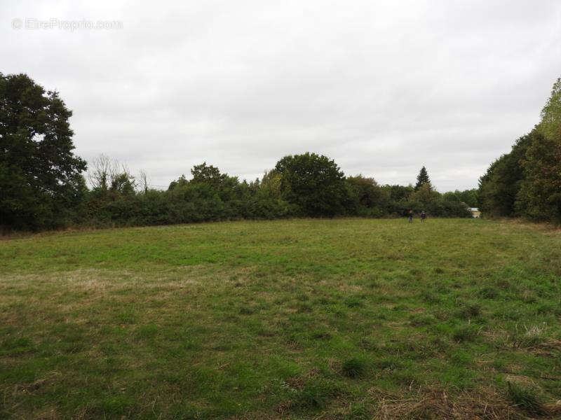 Terrain à BROU