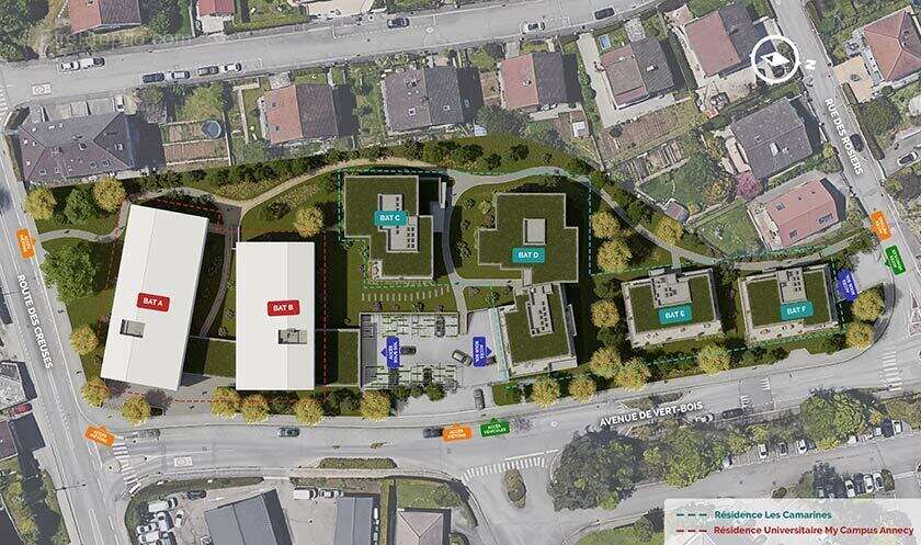 Les camarines à Annecy