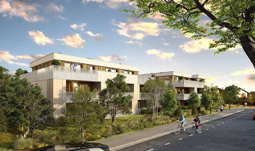 Les camarines à Annecy