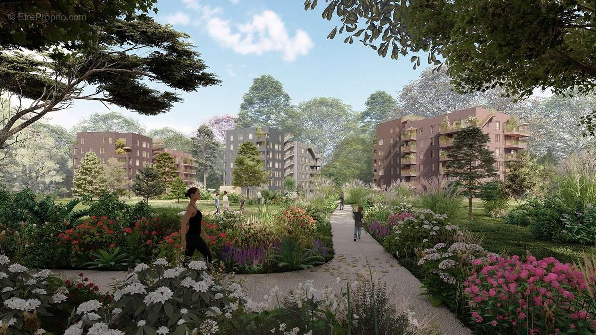 Les sycomores à Massy