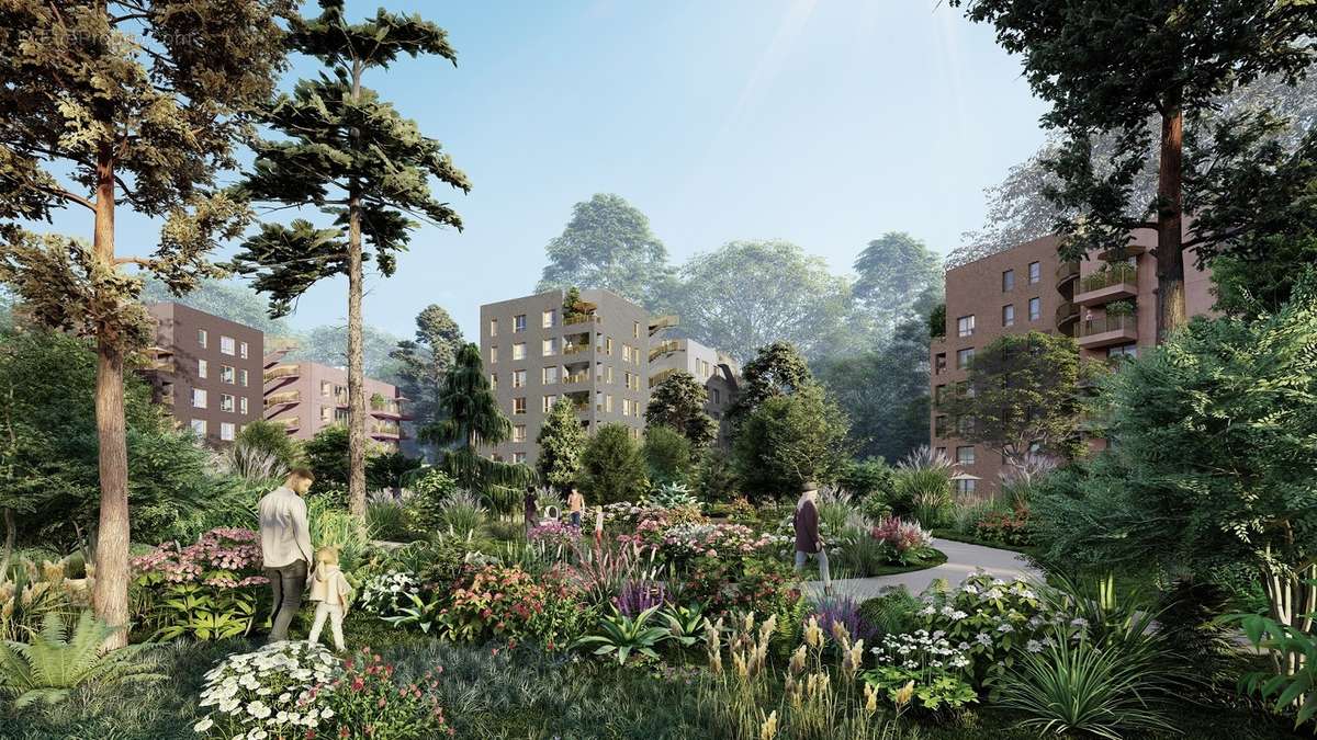 Les sycomores à Massy