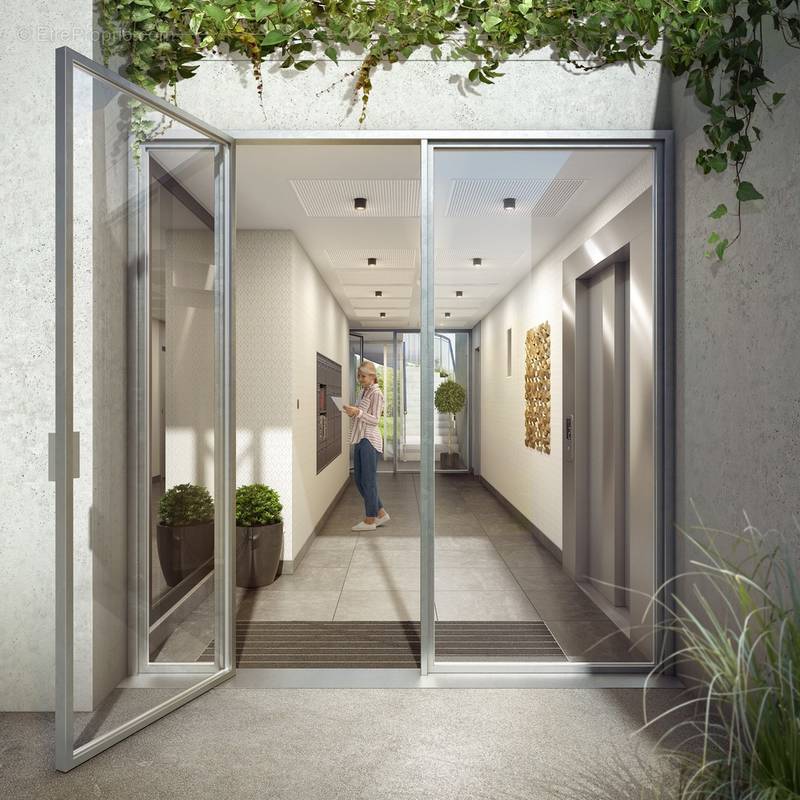 Les sycomores à Massy