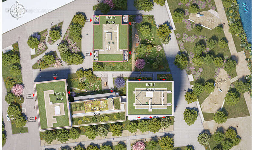 Les escales du rhin à Strasbourg