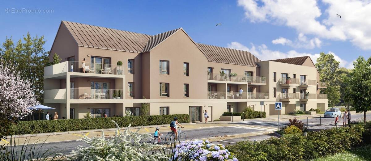 Recif à Pleneuf Val Andre