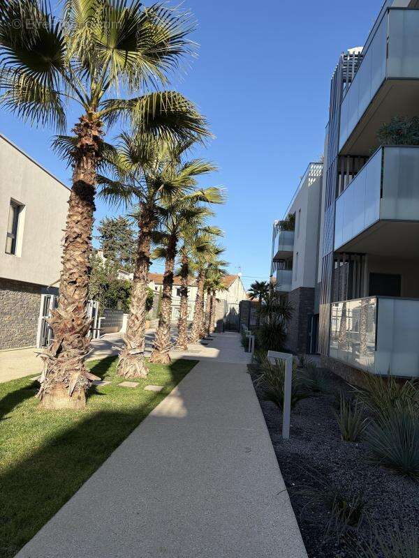 Domaine de canastel à Baillargues