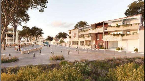 Les terrasses des arenes à Lunel