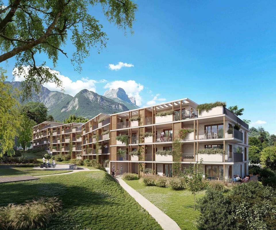 Fleur de vigne à St Ismier