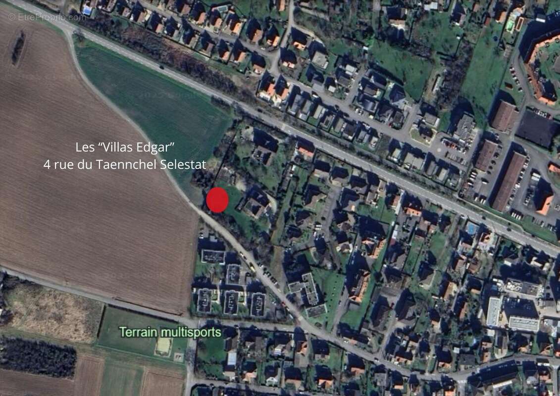 Les villas edgar à Selestat
