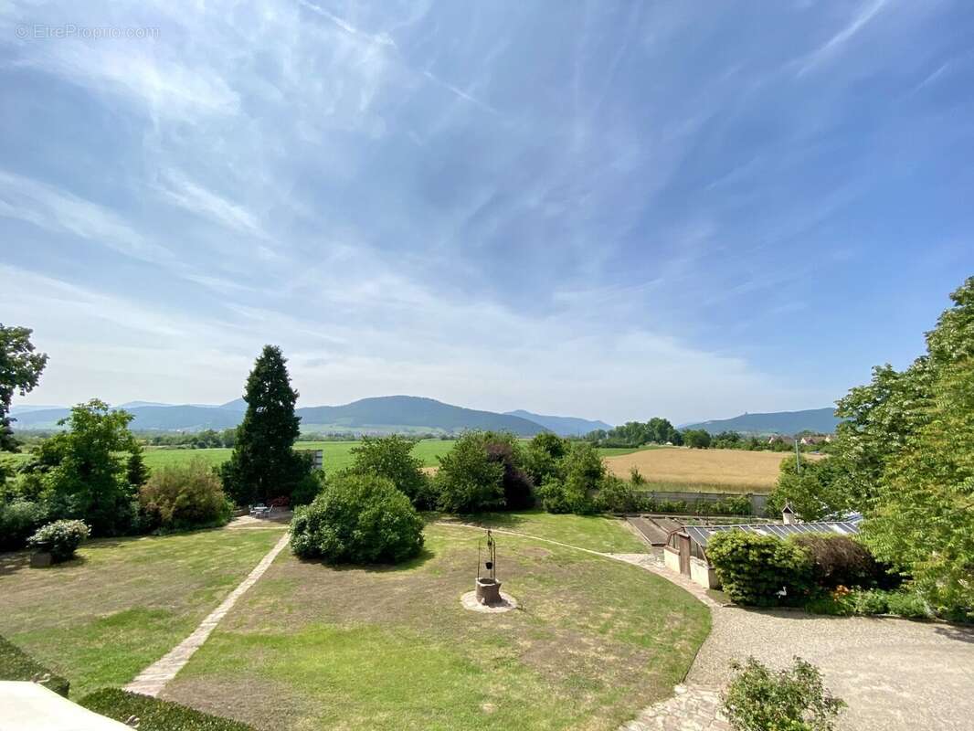 Les villas edgar à Selestat